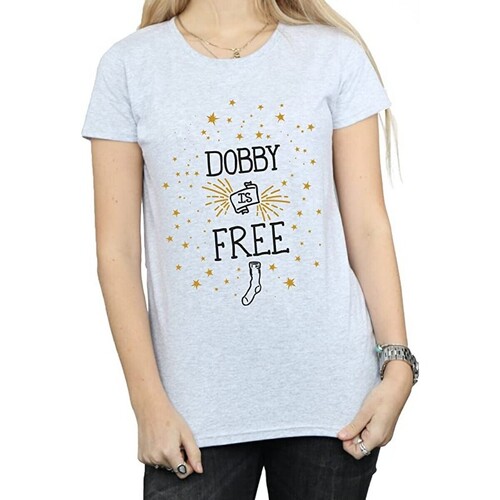 Abbigliamento Donna T-shirts a maniche lunghe Harry Potter Dobby Is Free Grigio