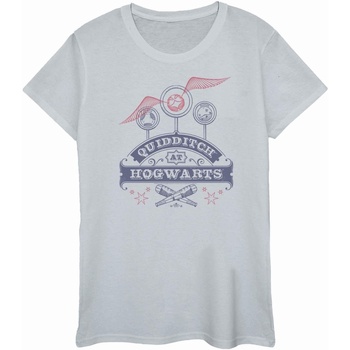 Abbigliamento Donna T-shirts a maniche lunghe Harry Potter Quidditch At Hogwarts Grigio