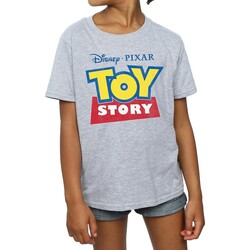 Abbigliamento Bambina T-shirts a maniche lunghe Toy Story BI1709 Grigio