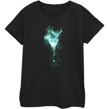 Abbigliamento Donna T-shirts a maniche lunghe Harry Potter Patronus Nero
