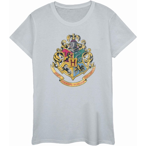 Abbigliamento Donna T-shirts a maniche lunghe Harry Potter BI1741 Grigio