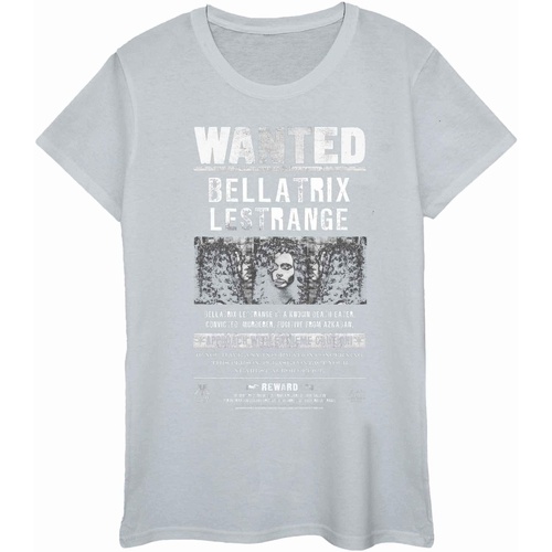 Abbigliamento Donna T-shirts a maniche lunghe Harry Potter BI1745 Grigio