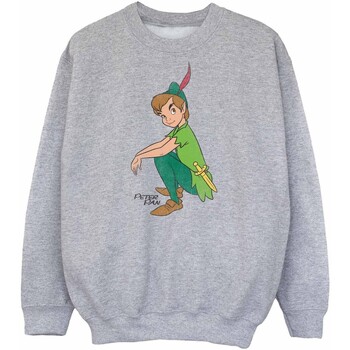 Abbigliamento Bambino Felpe Peter Pan BI2113 Grigio