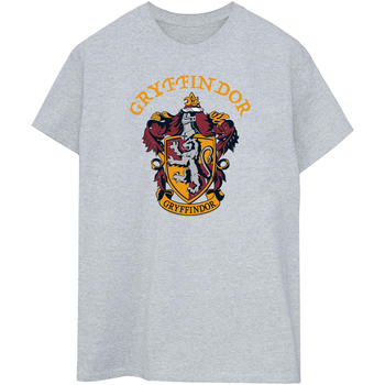Abbigliamento Donna T-shirts a maniche lunghe Harry Potter BI2148 Grigio