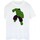 Abbigliamento Donna T-shirts a maniche lunghe Hulk BI365 Verde