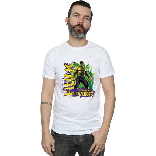 Abbigliamento Uomo T-shirts a maniche lunghe Hulk The Incredible Avenger Bianco