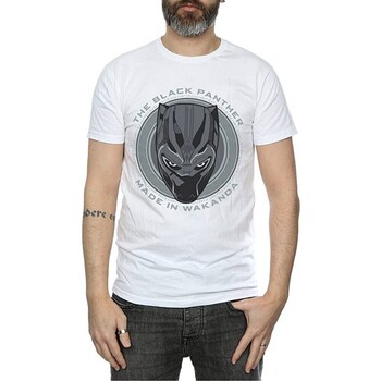 Abbigliamento Uomo T-shirts a maniche lunghe Black Panther  Bianco