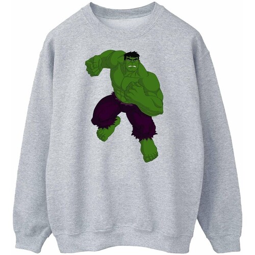 Abbigliamento Felpe Hulk Simple Grigio