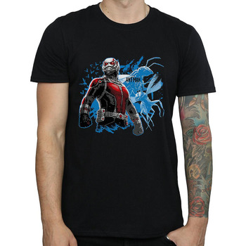 Abbigliamento Uomo T-shirts a maniche lunghe Ant-Man Standing Nero