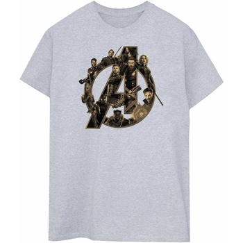 Abbigliamento Uomo T-shirts a maniche lunghe Avengers Infinity War  Grigio
