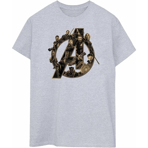 Abbigliamento Uomo T-shirts a maniche lunghe Avengers Infinity War BI452 Grigio