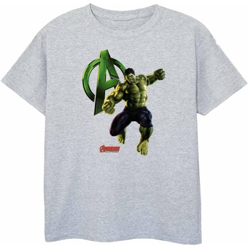 Abbigliamento Bambino T-shirt maniche corte Hulk BI453 Grigio