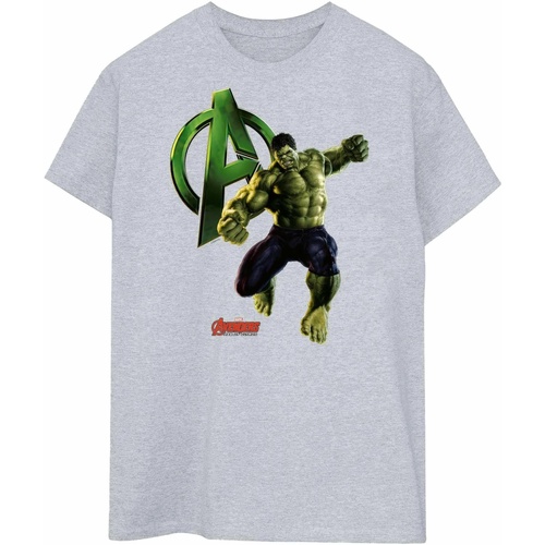 Abbigliamento Uomo T-shirts a maniche lunghe Hulk  Grigio