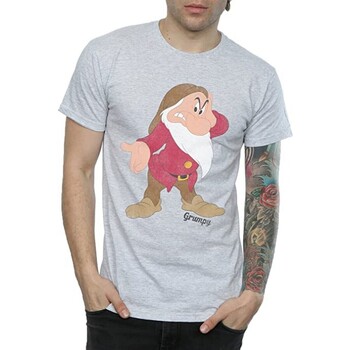 Abbigliamento Uomo T-shirts a maniche lunghe Snow White And The Seven Dwarfs Classic Grigio