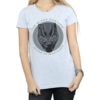 Abbigliamento Donna T-shirts a maniche lunghe Black Panther  Grigio