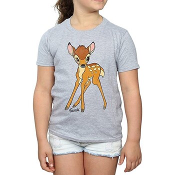 Abbigliamento Bambina T-shirts a maniche lunghe Bambi BI889 Grigio