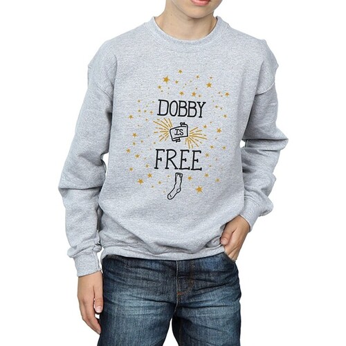 Abbigliamento Bambino Felpe Harry Potter Dobby Is Free Grigio