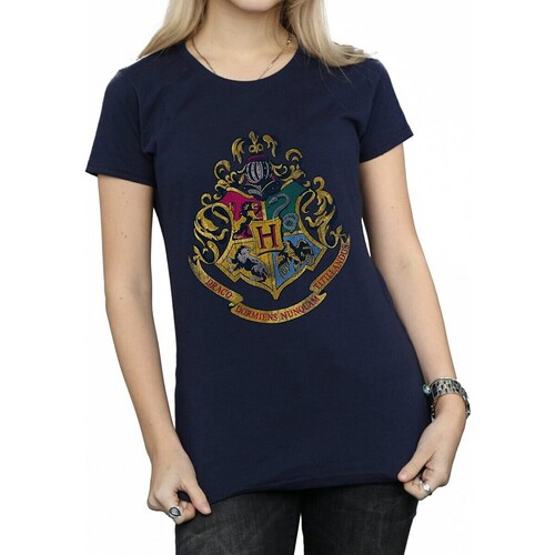 Abbigliamento Donna T-shirts a maniche lunghe Harry Potter BI948 Blu