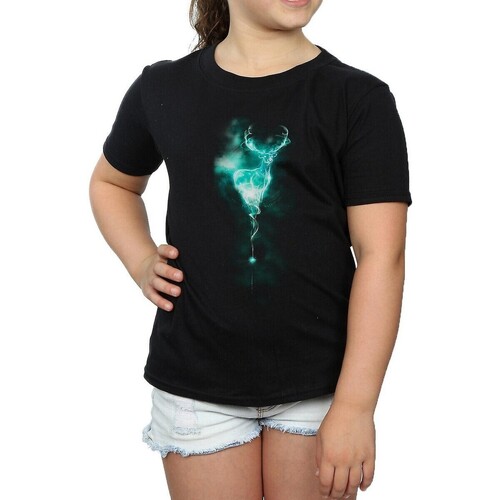 Abbigliamento Bambina T-shirts a maniche lunghe Harry Potter Patronus Nero