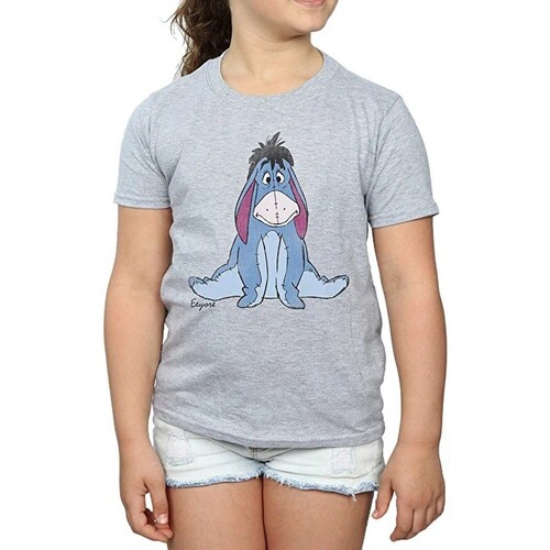 Abbigliamento Bambina T-shirts a maniche lunghe Dessins Animés BI972 Grigio
