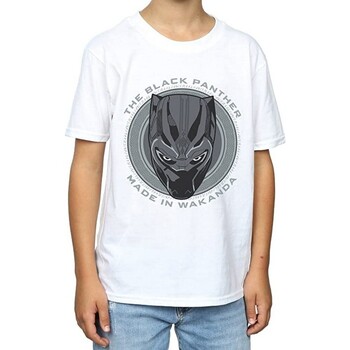 Abbigliamento Bambino T-shirt maniche corte Black Panther  Bianco