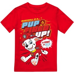 Abbigliamento Bambino T-shirts a maniche lunghe Paw Patrol Pup Fired Up Rosso