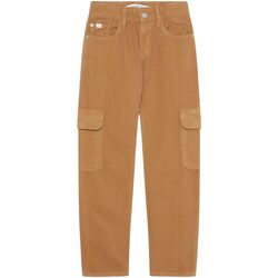 Abbigliamento Bambino Pantaloni Calvin Klein Jeans UTILITY REGULAR BROWN CANVAS Beige