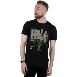 Abbigliamento Uomo T-shirts a maniche lunghe Hulk BI1134 Nero