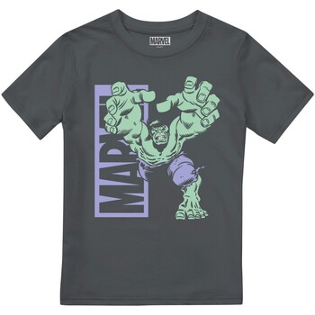 Abbigliamento Unisex bambino T-shirt maniche corte Hulk  Multicolore