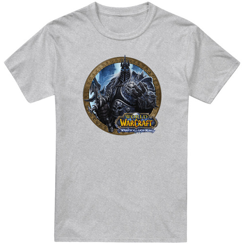 Abbigliamento Uomo T-shirts a maniche lunghe World Of Warcraft Wrath Grigio