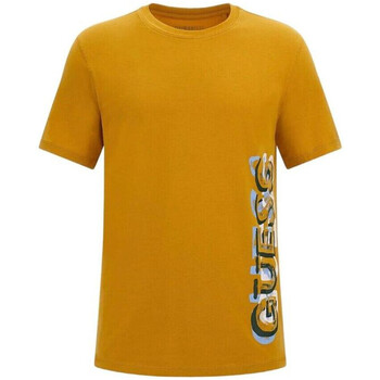 Abbigliamento Uomo T-shirt maniche corte Guess G-M3BI73J1314 Giallo
