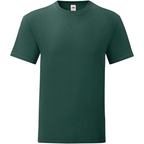Abbigliamento Uomo T-shirts a maniche lunghe Fruit Of The Loom Iconic Verde