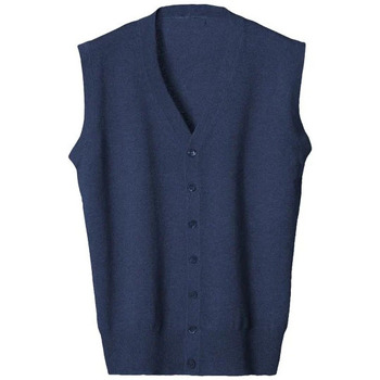Abbigliamento Uomo Gilet / Cardigan Lanaioli Gilet uomo in cashmere e seta Blu