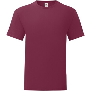 Abbigliamento Uomo T-shirts a maniche lunghe Fruit Of The Loom Iconic Multicolore