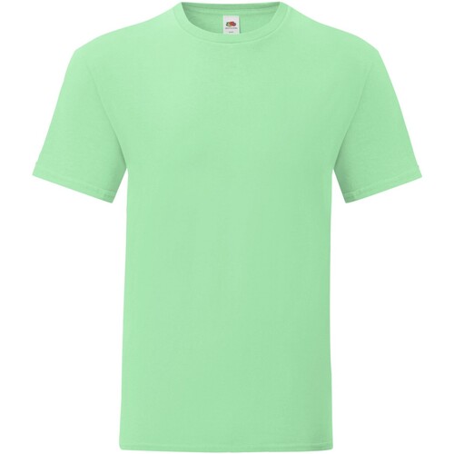 Abbigliamento Uomo T-shirts a maniche lunghe Fruit Of The Loom Iconic Verde