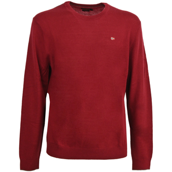 Abbigliamento Uomo T-shirt & Polo Napapijri np0a4gju-r54 Rosso