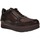 Scarpe Donna Sneakers Stonefly 219953-marrone Marrone
