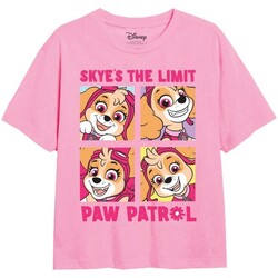 Abbigliamento Bambina T-shirts a maniche lunghe Paw Patrol Skye's The Limit Rosso