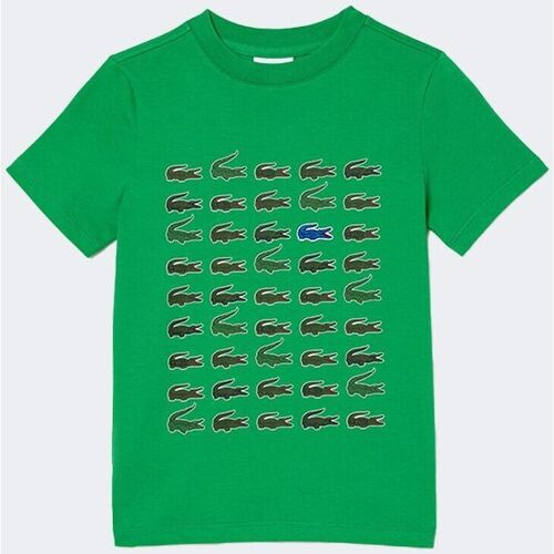 Abbigliamento Bambino T-shirt & Polo Lacoste  Verde