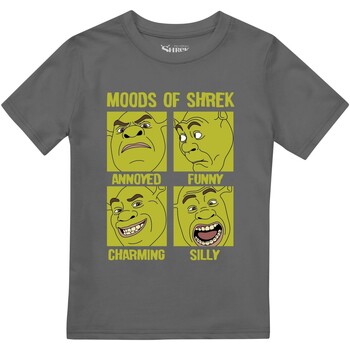 Abbigliamento Bambino T-shirts a maniche lunghe Shrek Moods Of Multicolore