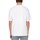 Abbigliamento Uomo T-shirt maniche corte Only & Sons  22027895 Multicolore