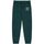 Abbigliamento Pantaloni da tuta Franklin & Marshall JM1003.2004P01.FW-102 Verde