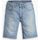 Abbigliamento Uomo Shorts / Bermuda Levi's 39864 0108 - 405 STANDARS SHORT-MY HOME IS COOL SHORT Blu
