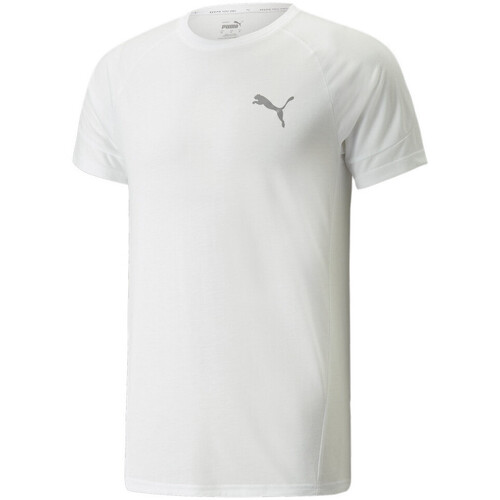 Abbigliamento Uomo T-shirt & Polo Puma 847394-02 Bianco