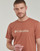 Abbigliamento Uomo T-shirt maniche corte Columbia CSC Basic Logo Tee Marrone