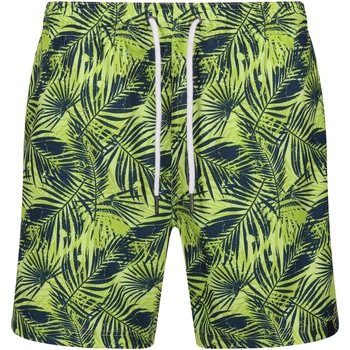Abbigliamento Uomo Shorts / Bermuda Regatta Loras Verde