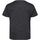 Abbigliamento Unisex bambino T-shirt maniche corte Regatta Fingal Edition Grigio