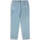 Abbigliamento Donna Jeans Dickies Ellendale Denim Blu
