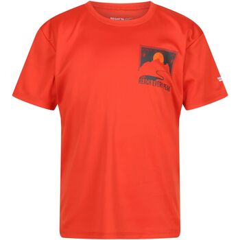 Abbigliamento Unisex bambino T-shirt maniche corte Regatta Alvarado VII Rosso