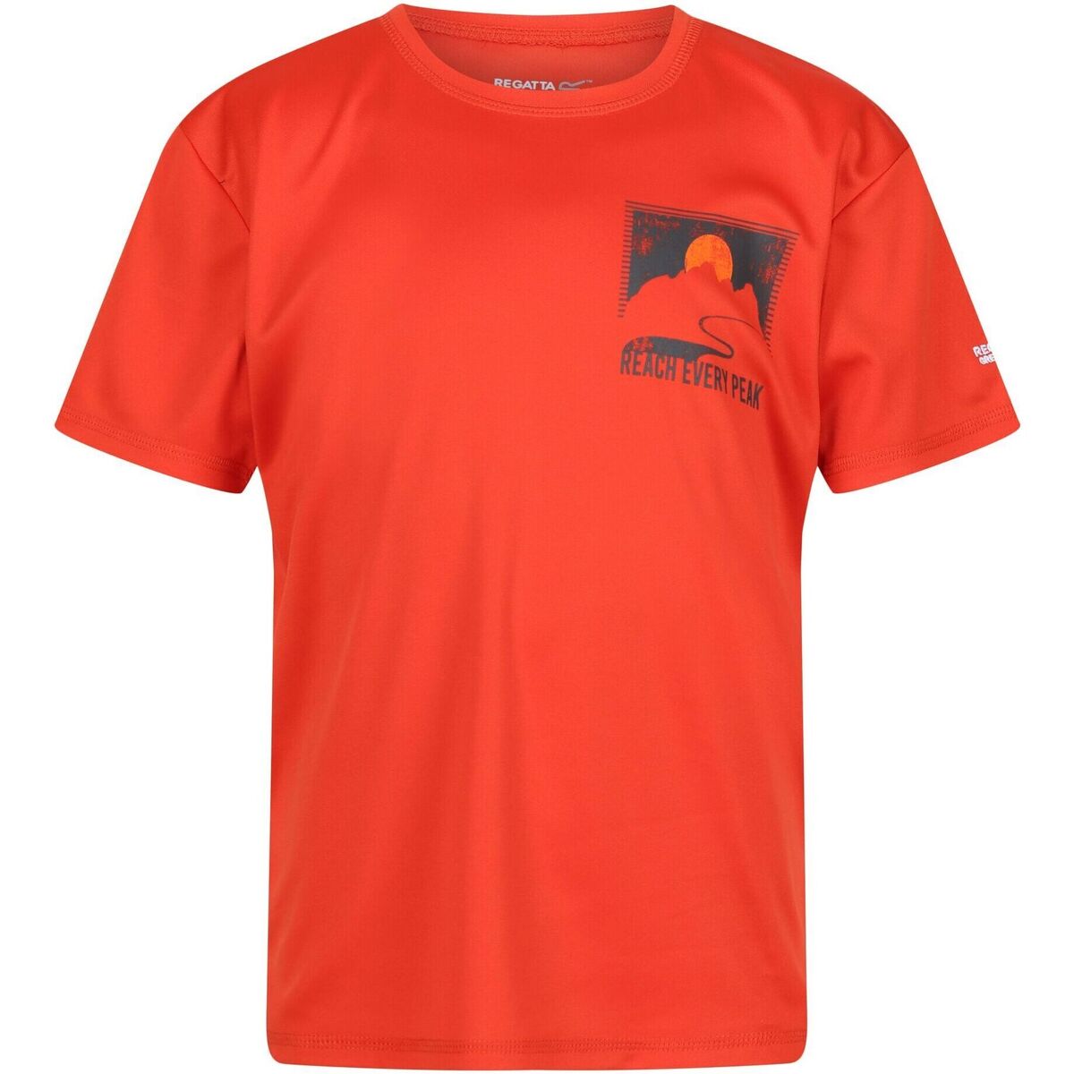 Abbigliamento Unisex bambino T-shirt maniche corte Regatta Alvarado VII Rosso